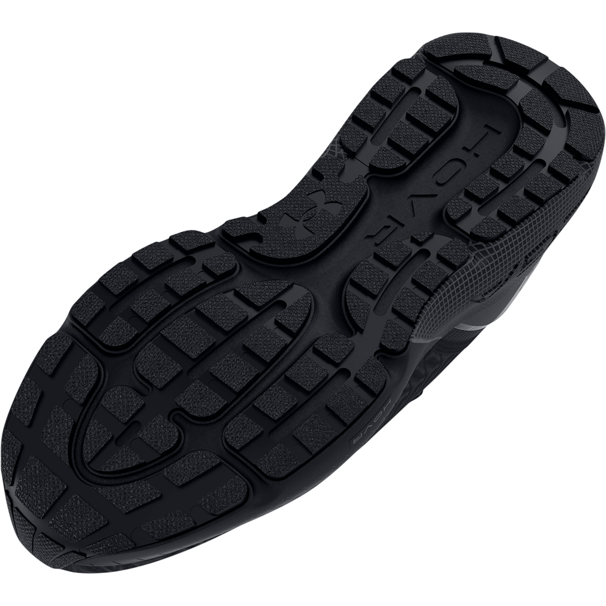 3025308 001 SOLE